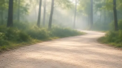 Yumuşak odaklı ağaçların arasında uzanan boş orman yolu.